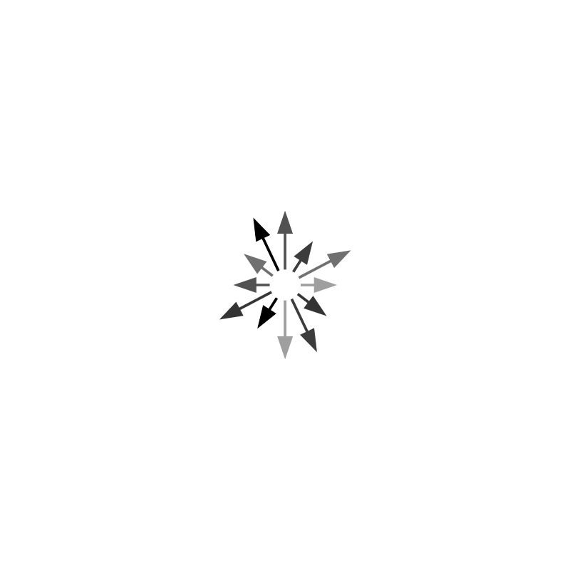 Sparkle Point Medaillon - Necklace - 40 - 45cm