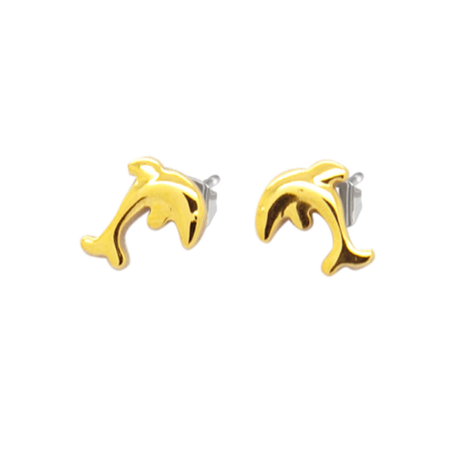  Boucles d'oreilles à puces - Titane