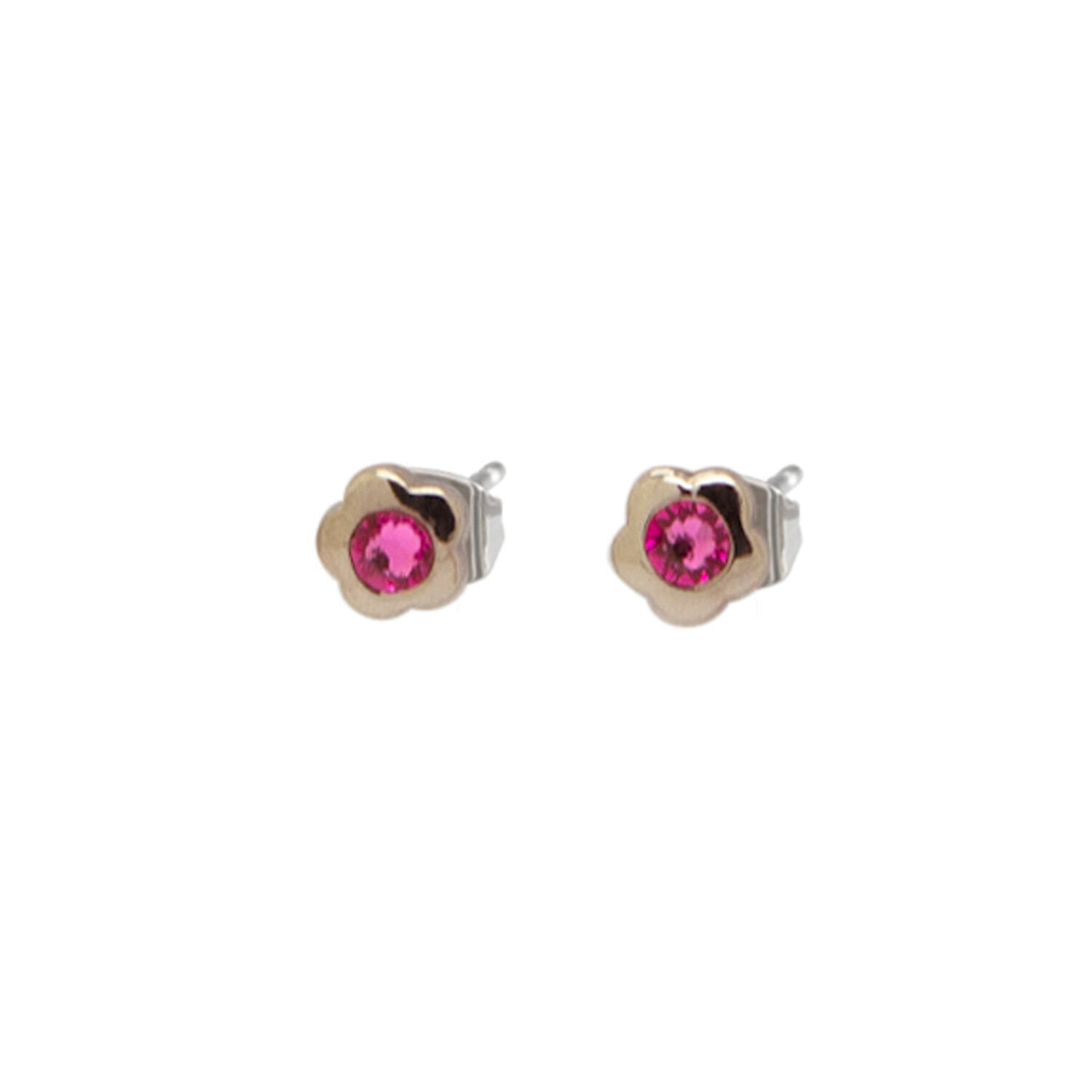  Boucles d'oreilles à puces - Titane - Cristal