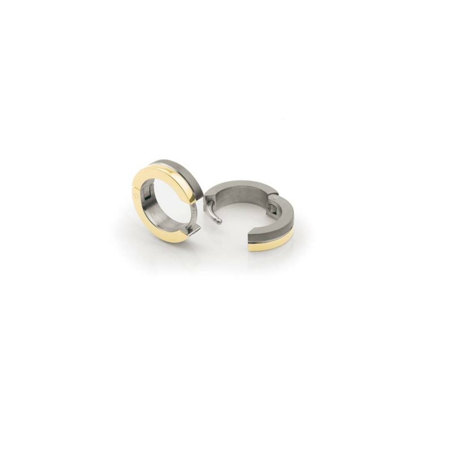  Oorringen - Titanium - 13mm