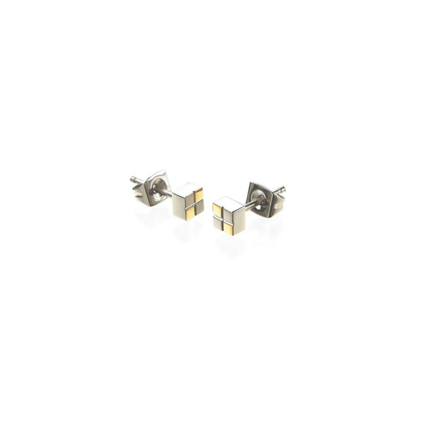  Ear studs - Titanium