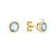  Oorstekers - Rond Topaas - 