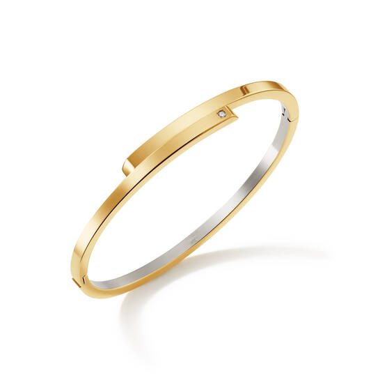  Bangles - Titanium - Diamond - 0.02ct - 60mm