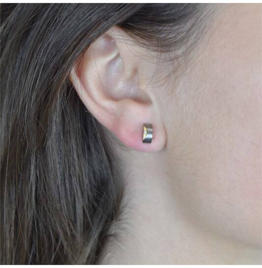 Boucles d'oreilles à puces - Titane - Diamant - 0.015ct