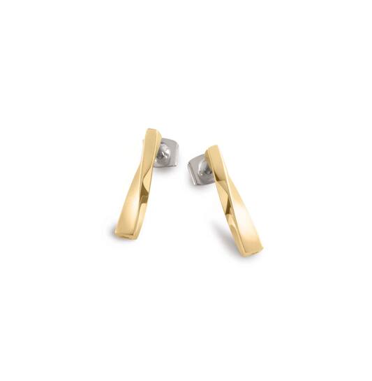  Boucles d'oreilles à puces - Titane