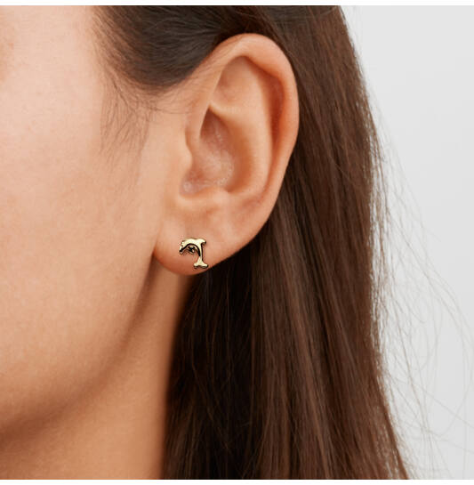  Boucles d'oreilles à puces - Titane