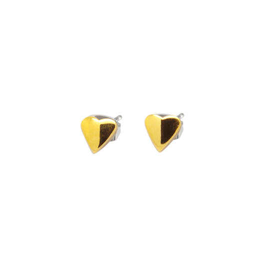  Boucles d'oreilles à puces - Titane