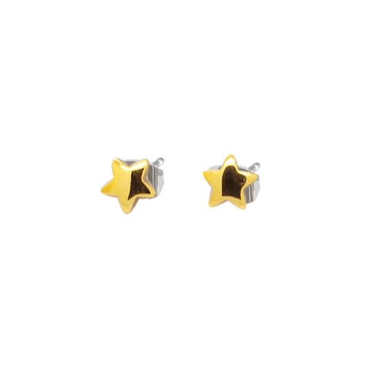  Boucles d'oreilles à puces - Titane