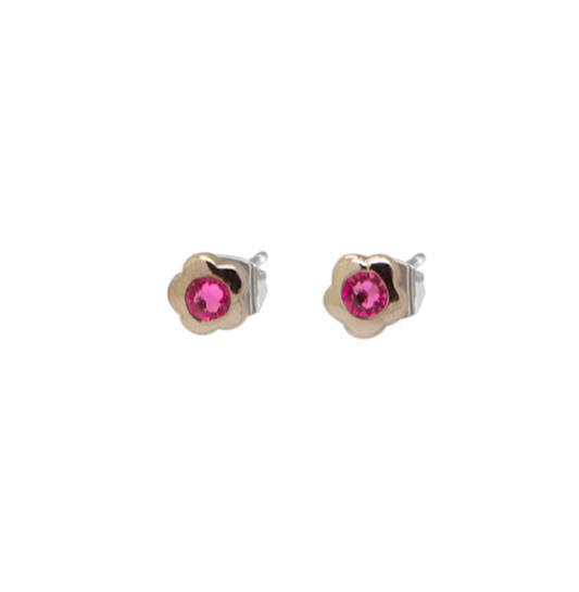  Boucles d'oreilles à puces - Titane - Cristal