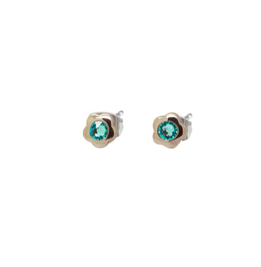  Boucles d'oreilles à puces - Titane - Cristal