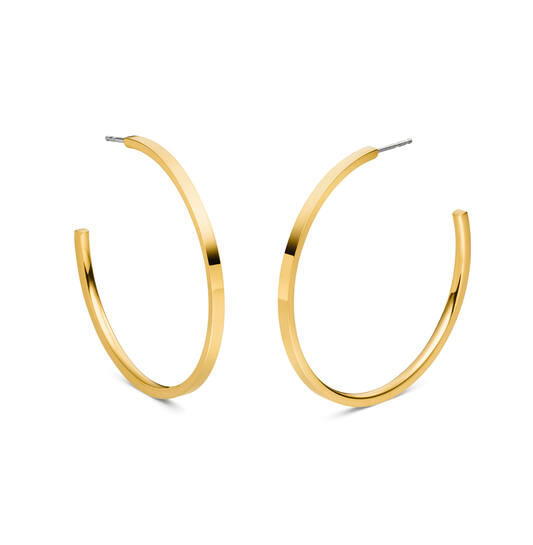  Ear studs - Titanium - 5cm