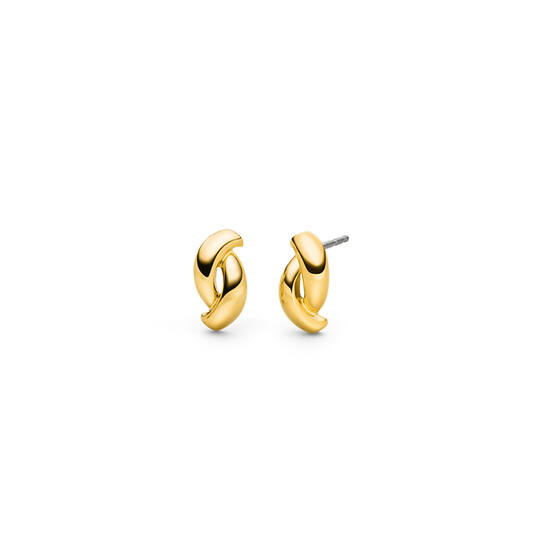  Ear studs - Titanium