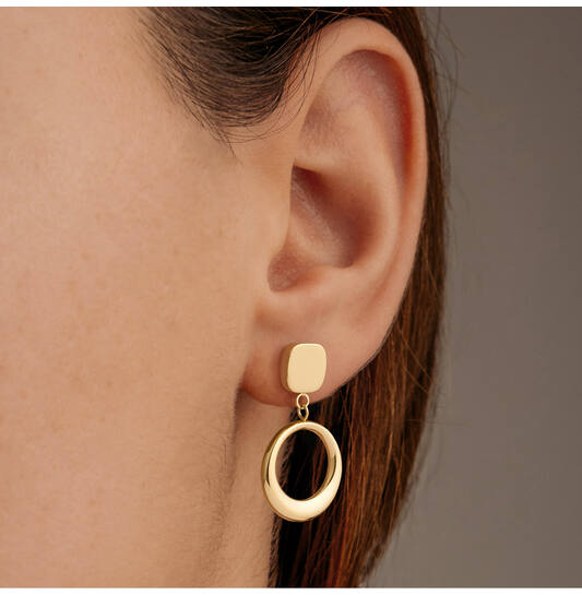  Ear studs - Titanium - 2,5cm