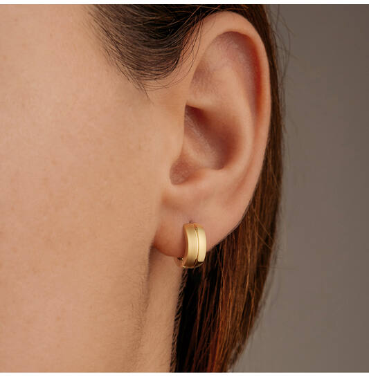  Earrings - Titanium