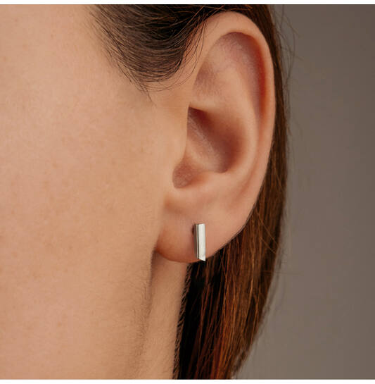  Oorstekers - Titanium - 1cm