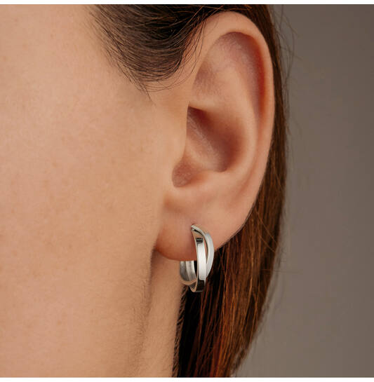  Oorstekers - Titanium