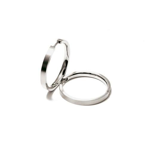  Oorringen - Titanium - 2,5cm - 24mm