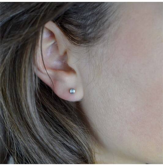  Oorstekers - Titanium - Diamant - 0.015ct