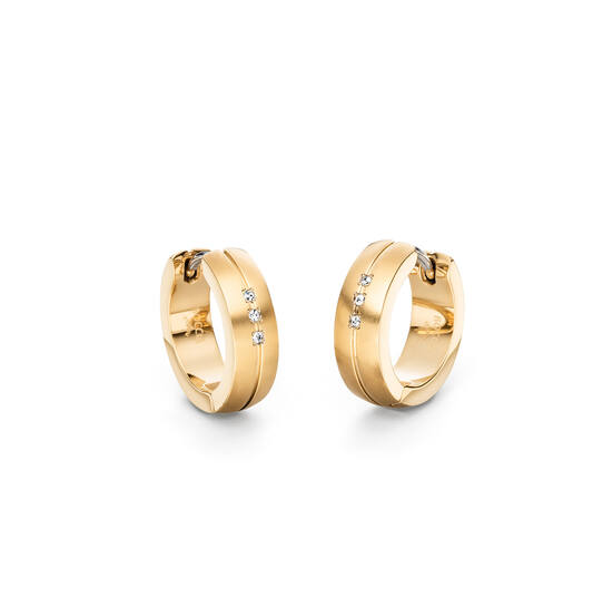  Oorringen - Titanium - Diamant - 0.18ct - 16mm