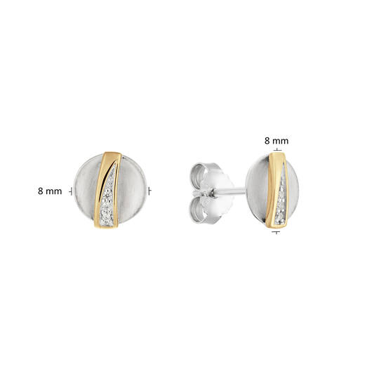  Ohrstecker - Kreis Zirkonia - 