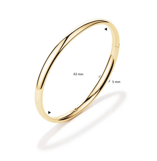  Bangle - Golden Armour Bangles - Scharnier - Ovaal - 5mm - Ø 62mm