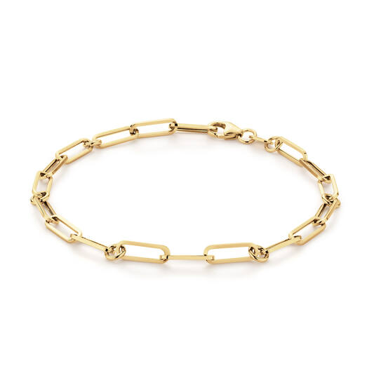 Pirouette Boxlink Bracelet - 19cm - 585