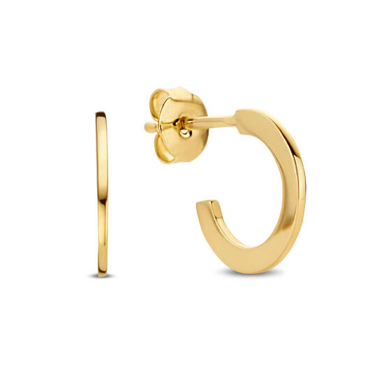 Round Flat Earrings - 12mm - 585