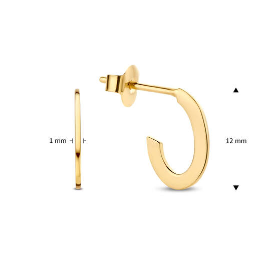 Oval Flat Earrings - 12mm - 585