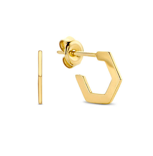 Hexagon Flat Earrings - 10mm - 585