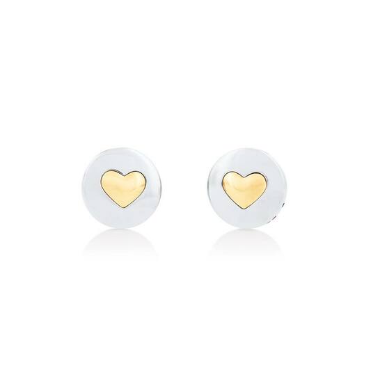  Boucles d'oreilles à puces - Acier - 1cm