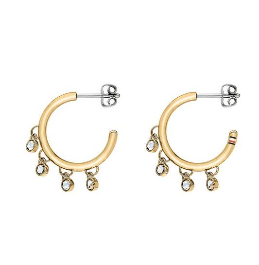  Boucles d'oreilles à puces - Acier - 