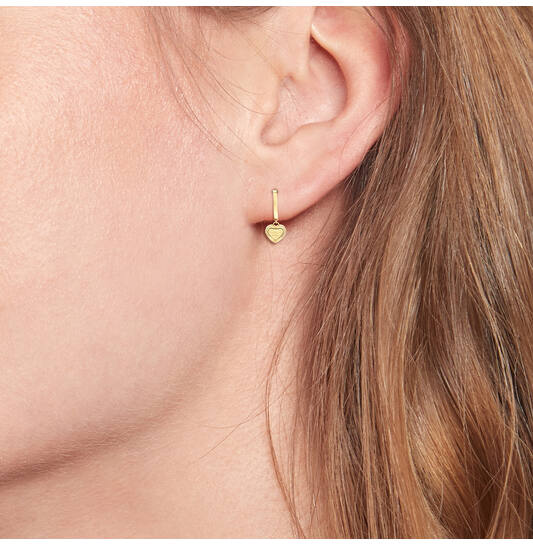  Earrings - Steel - 