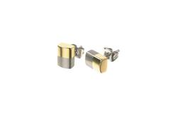  Ear studs - Titanium