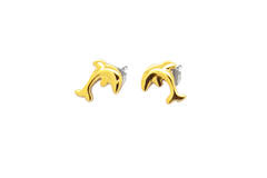  Boucles d'oreilles à puces - Titane