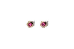  Boucles d'oreilles à puces - Titane - Cristal