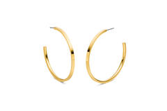  Ear studs - Titanium - 5cm