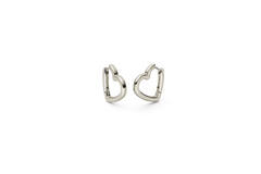  Oorringen - Titanium - 21mm