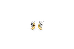  Boucles d'oreilles à puces - Titane
