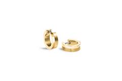  Earrings - Titanium