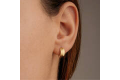  Earrings - Titanium