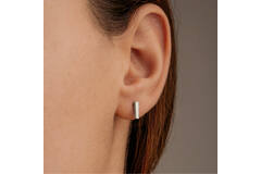  Oorstekers - Titanium - 1cm