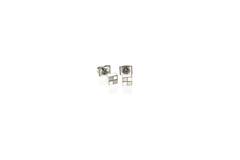  Ear studs - Titanium