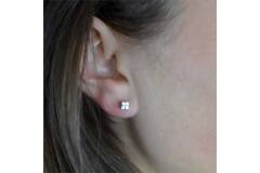  Ear studs - Titanium