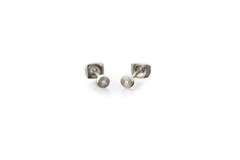  Oorstekers - Titanium - Diamant - 0.015ct