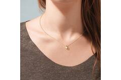  Collier - Druppel - Gourmet - Zilver verguld - 45cm