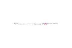  Link bracelets - Figaro - Animal - 25mm - 14cm