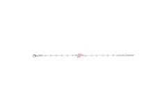  Schakelarmband - Anker - Dier - 7mm - 16cm