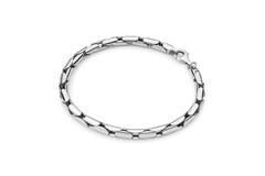  Bracelets à maillons - Palmier, queue de renard - 5mm - 19cm