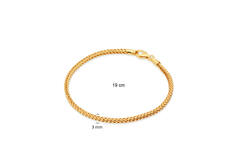  Bracelets à maillons - Palmier, queue de renard - 2.2mm - 19cm