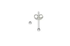  Boucles d'oreilles à puces - Ø 2mm